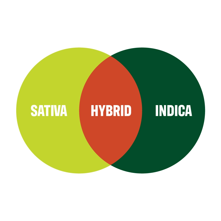 Sativa-Hybrid-Indica
