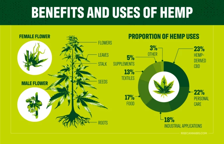 Rise-Cannabis-Womens-History-Month-768x496