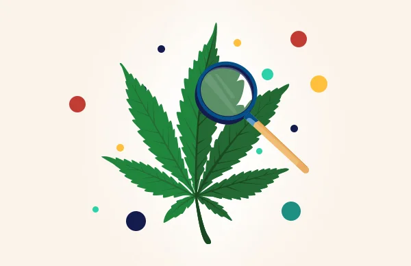 Endocannabinoid-science-leaf