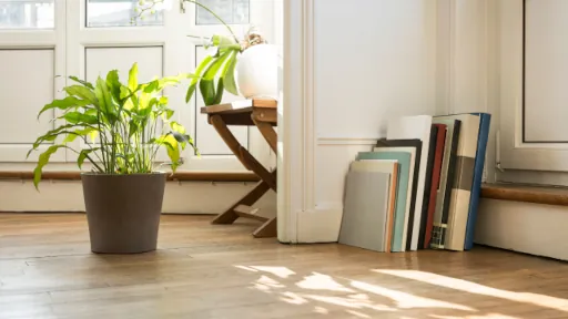 Carpets & Flooring
