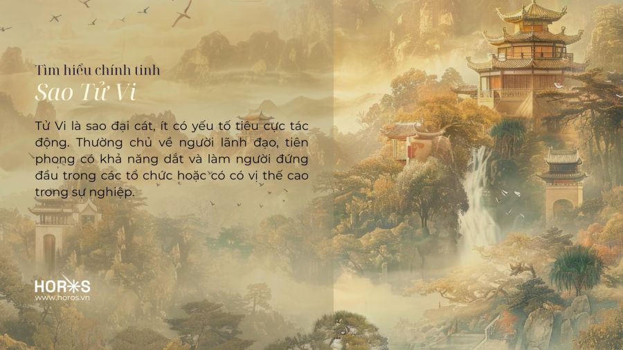 Tử Vi Post 02