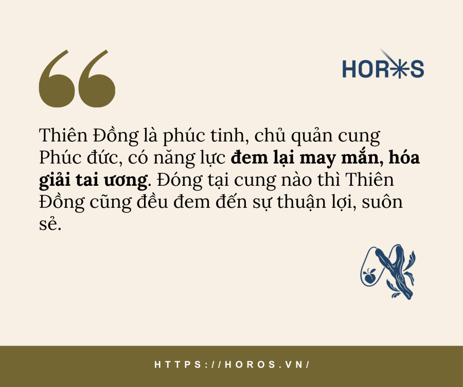 thien dong 1