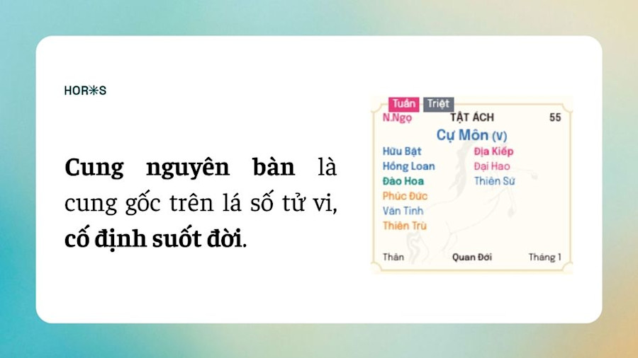 cung lưu niên là gì?