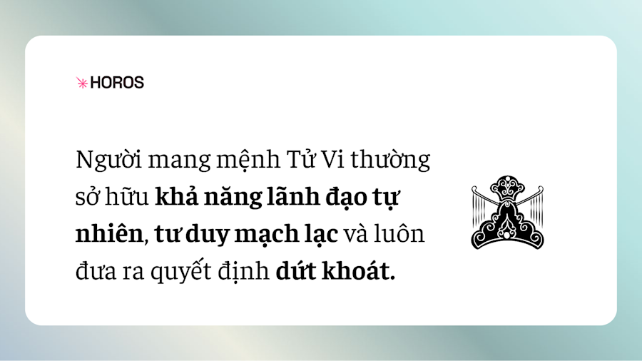 Chính Tinh Kép Tử Vi Thiên Tướng 1
