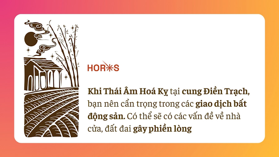 Luận giải lá số 2025 (2)