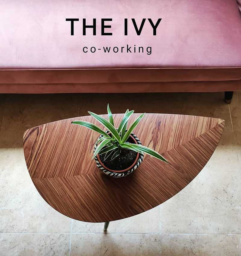 The Ivy Coworking Barcelona Marianna Catalano Viola Salvadori amigurumiundefined