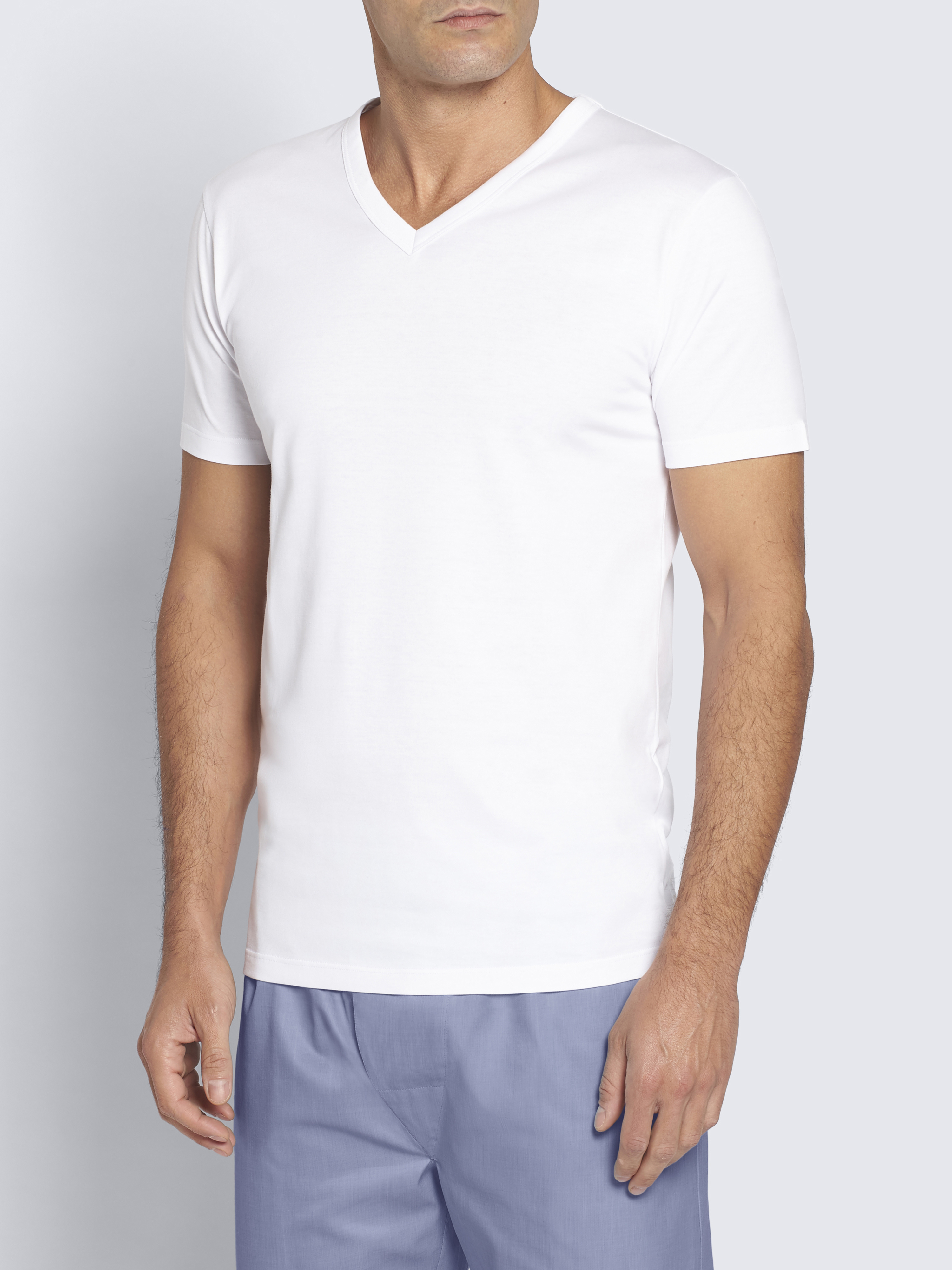 White Sea Island cotton V-neck T-shirt | Brioni® US Official Store