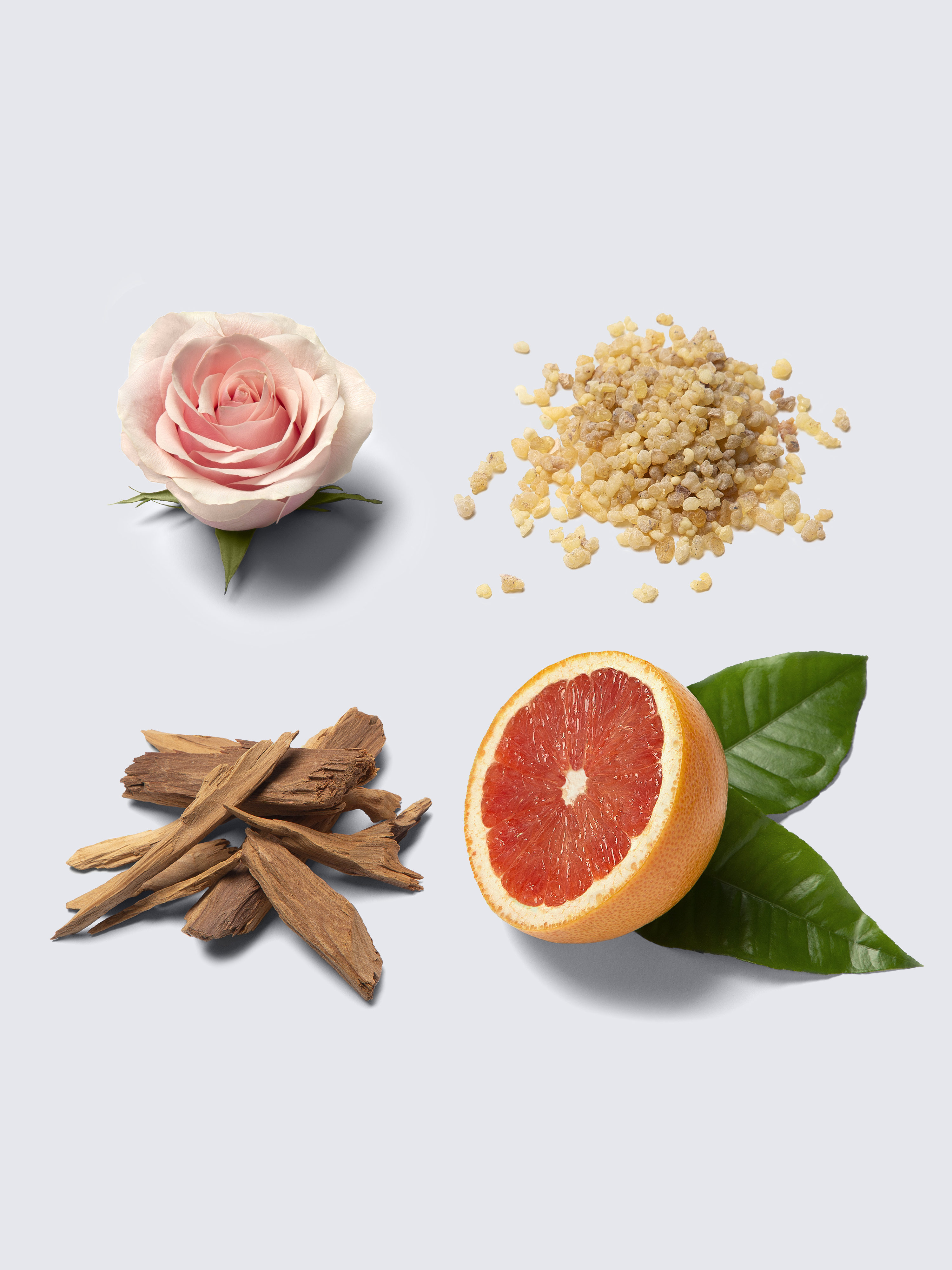 Eau de Parfum Éclat 100ml