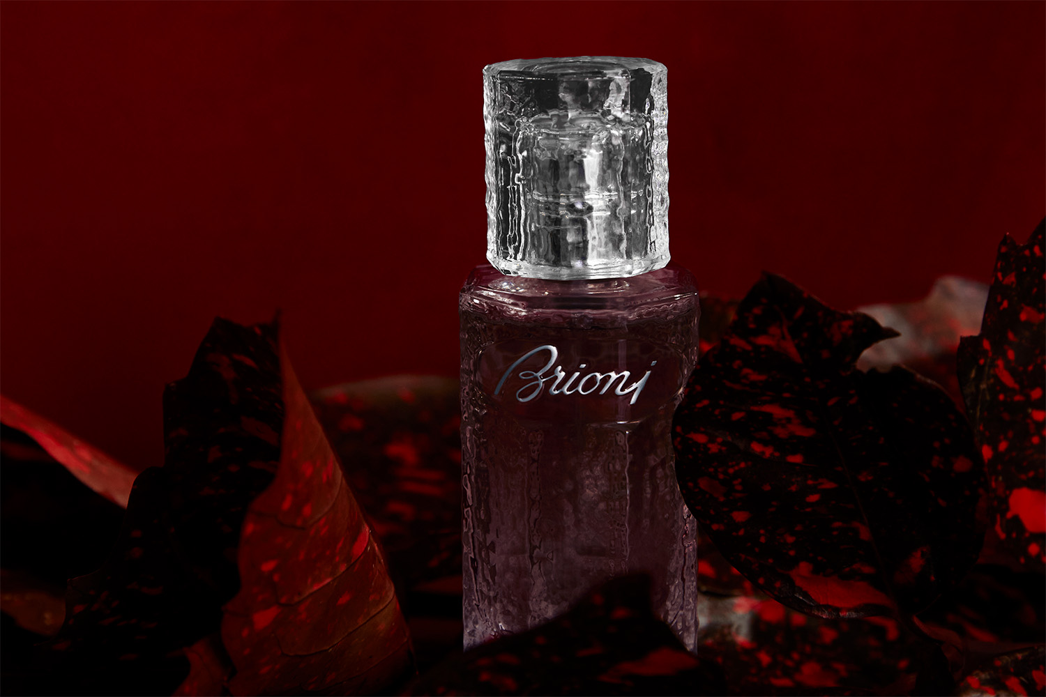 ギフト | ブリオーニ® 日本 公式ストア