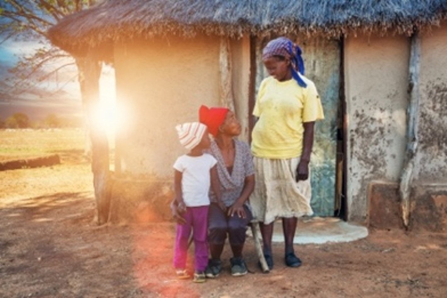 SDG Insight header