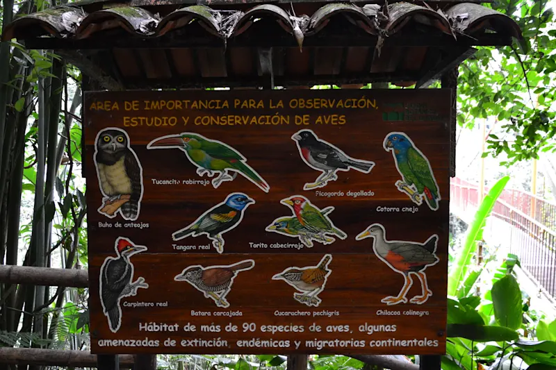 Photo from Quindio, Colombia