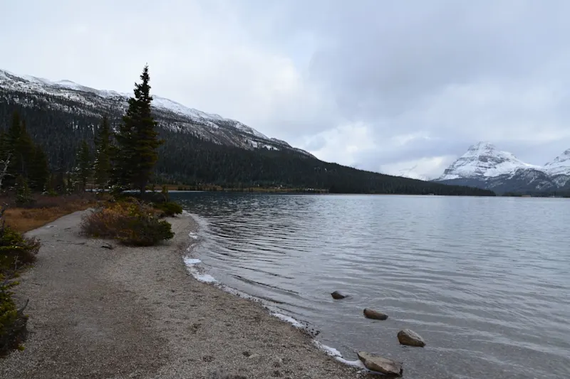 Photo from Icefields Parkway, Canada