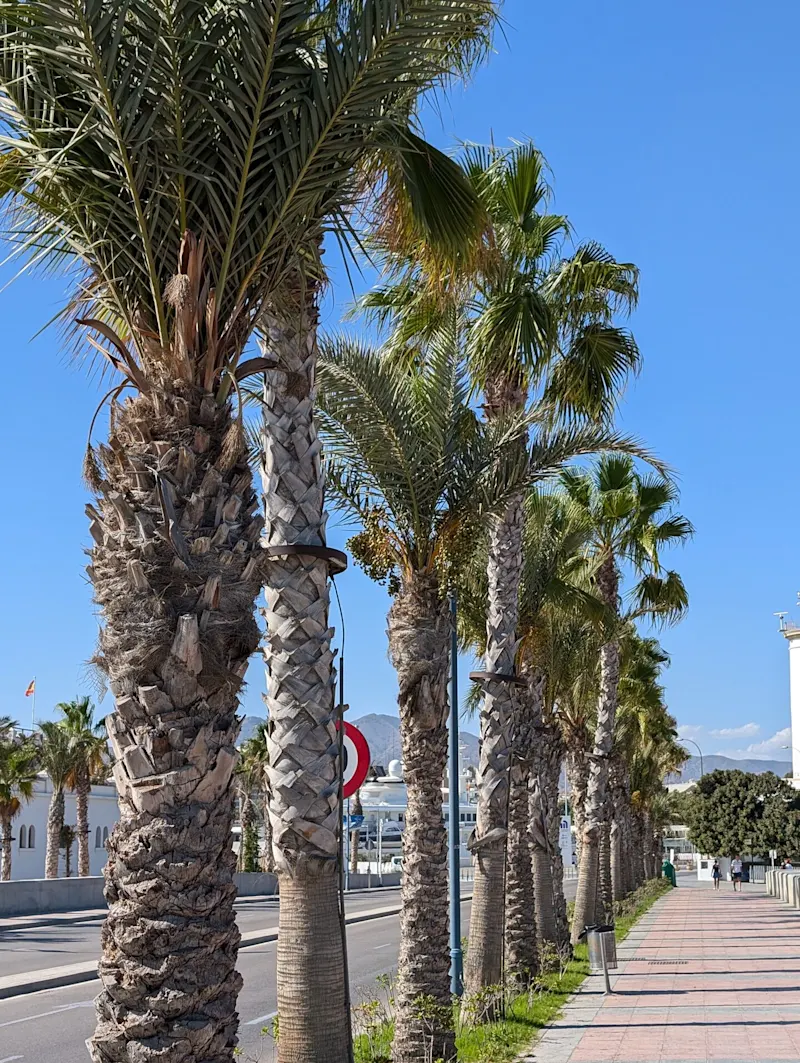 Photo from Malaga, Spain
