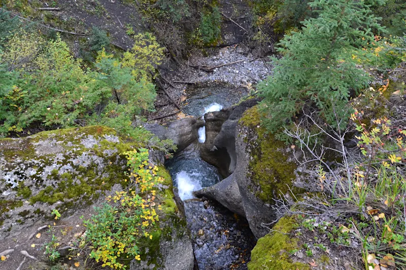 Photo from Jasper, Canada