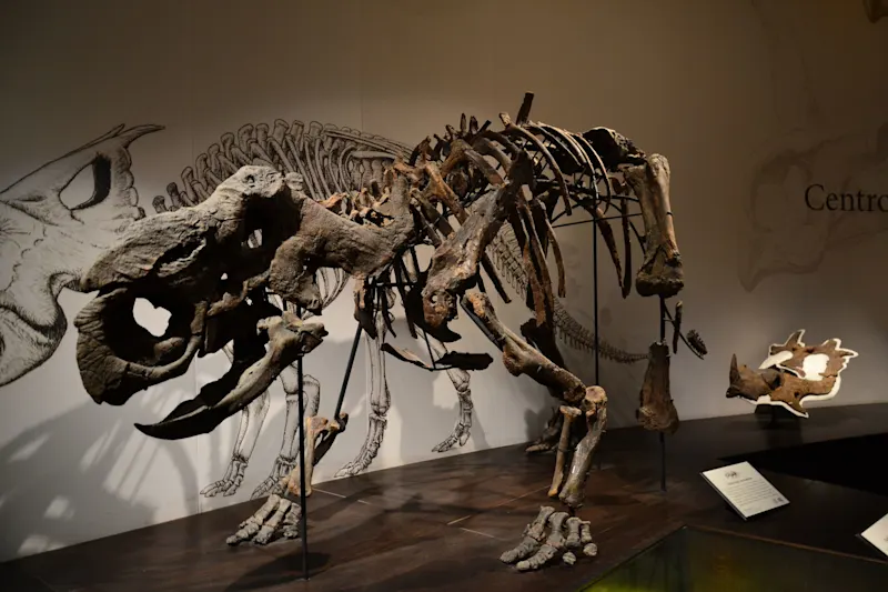 Photo from Drumheller, Canada