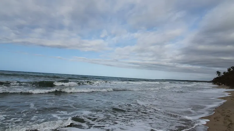 Photo from Palomino, Colombia