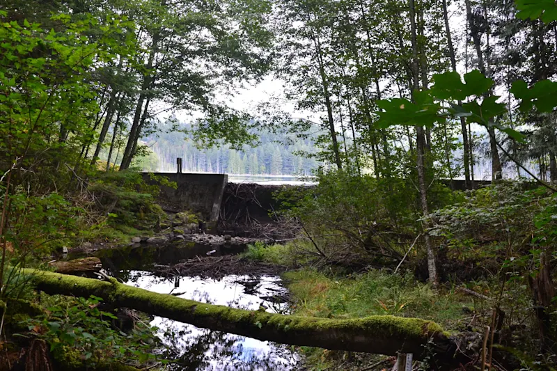 Photo from Bowen Island, Canada