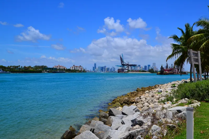 Photo from Miami, United States