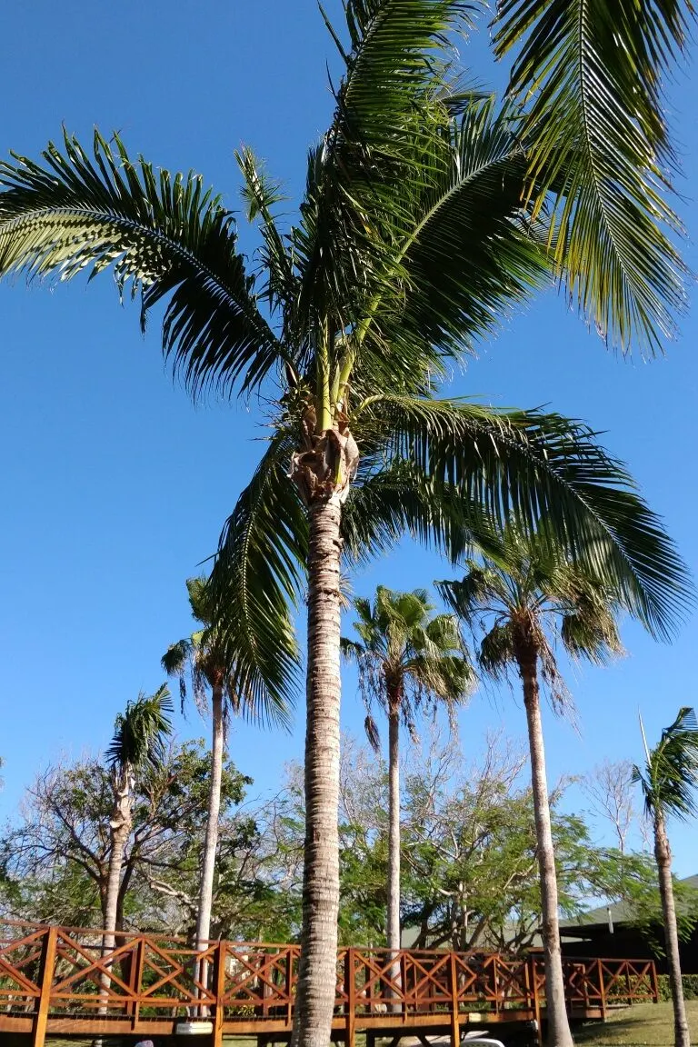 Photo from Varadero, Cuba