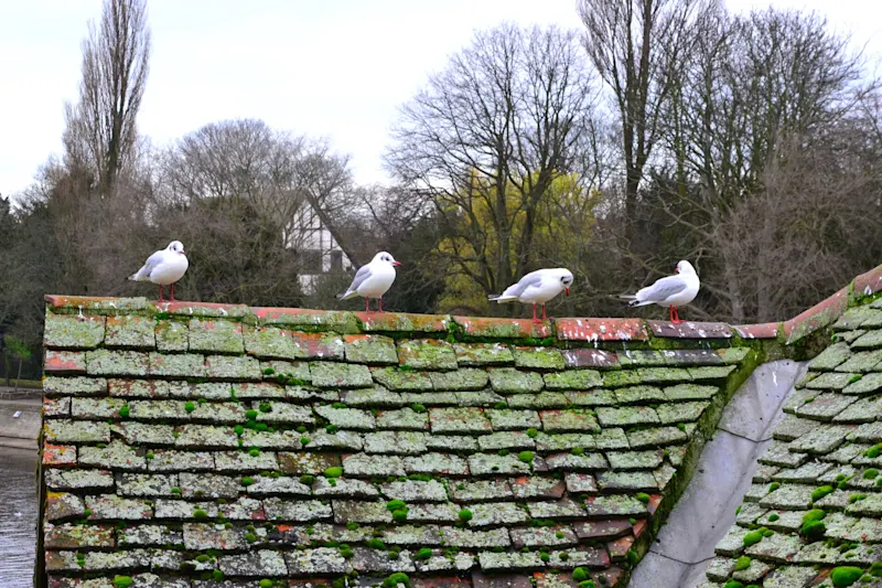Photo from York, England