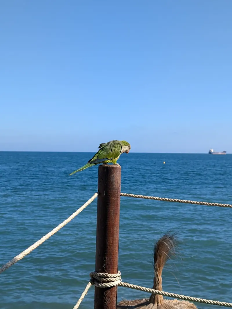 Photo from Malaga, Spain