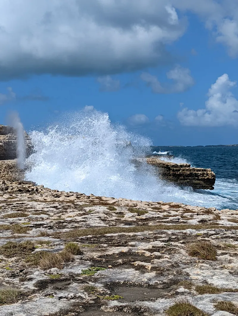 Photo from Antigua, Antigua & Barbuda