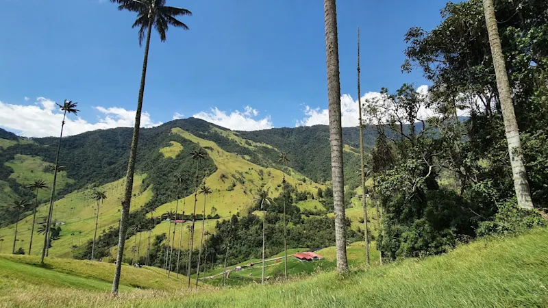 Photo from Quindio, Colombia