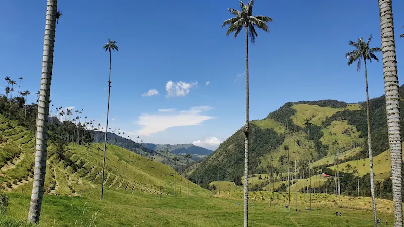Photo from Quindio, Colombia