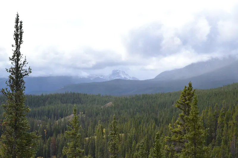 Photo from Icefields Parkway, Canada