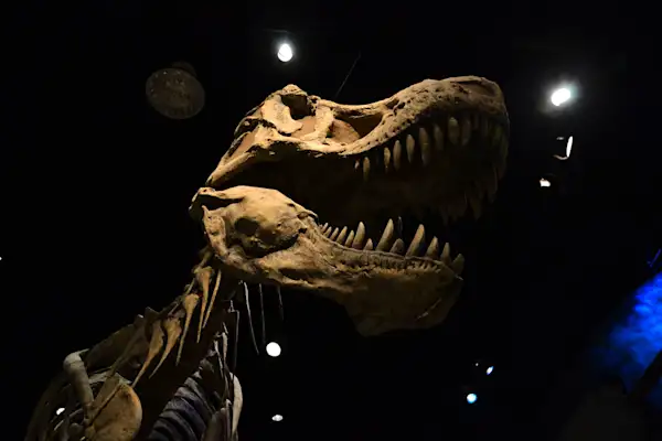 Preview of Drumheller