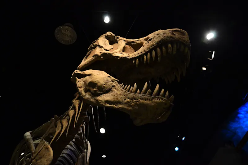 Photo from Drumheller, Canada