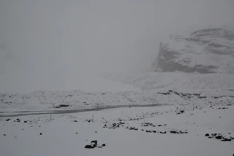 Photo from Icefields Parkway, Canada