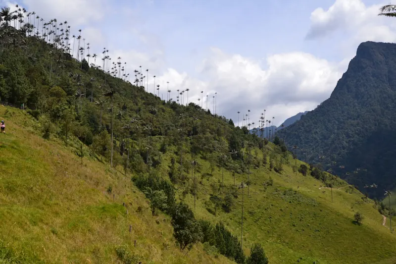 Photo from Quindio, Colombia