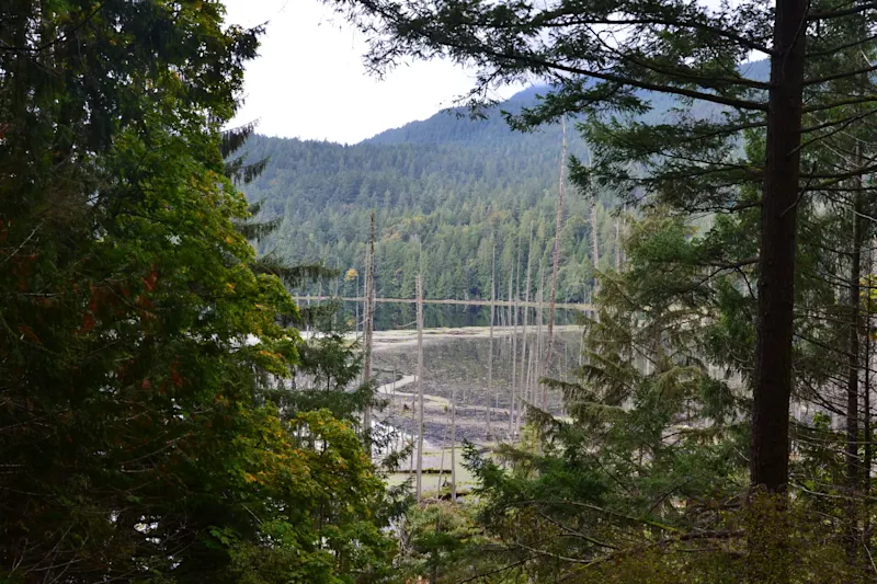 Photo from Bowen Island, Canada