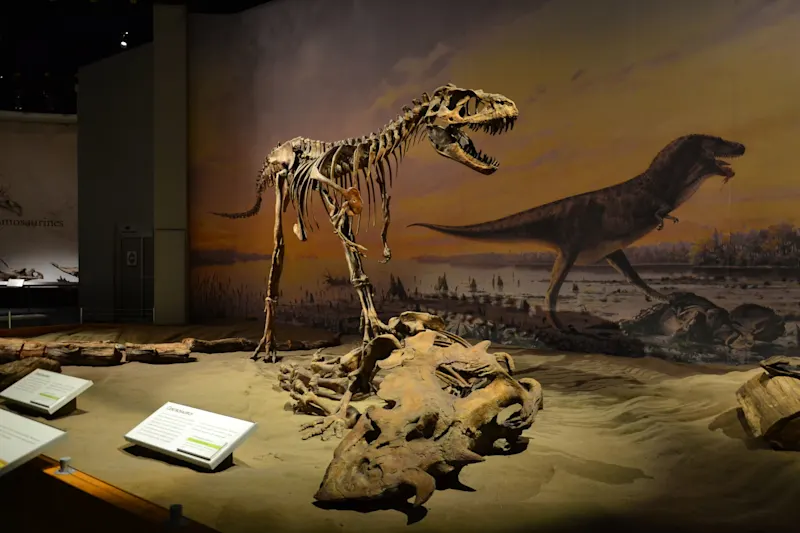 Photo from Drumheller, Canada
