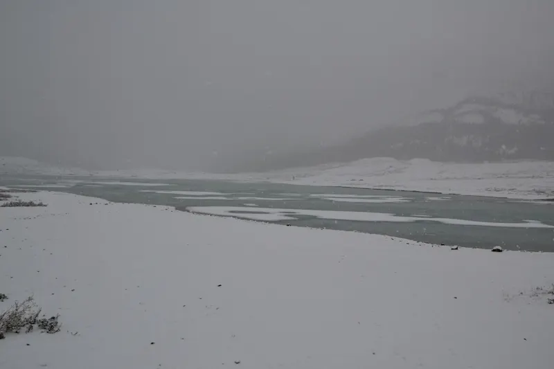 Photo from Icefields Parkway, Canada