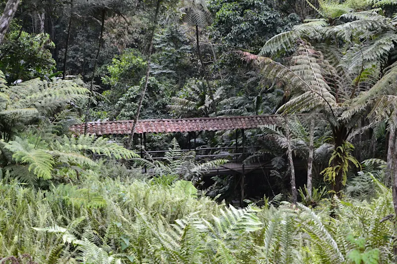 Photo from Quindio, Colombia