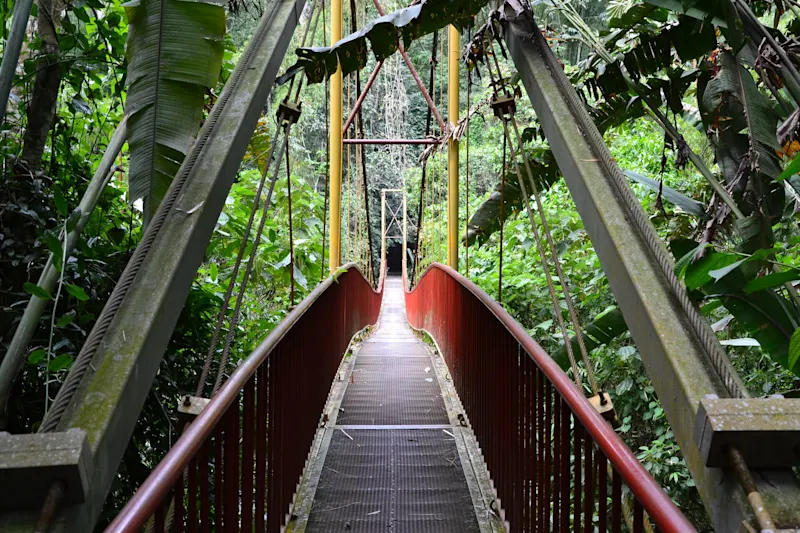 Photo from Quindio, Colombia