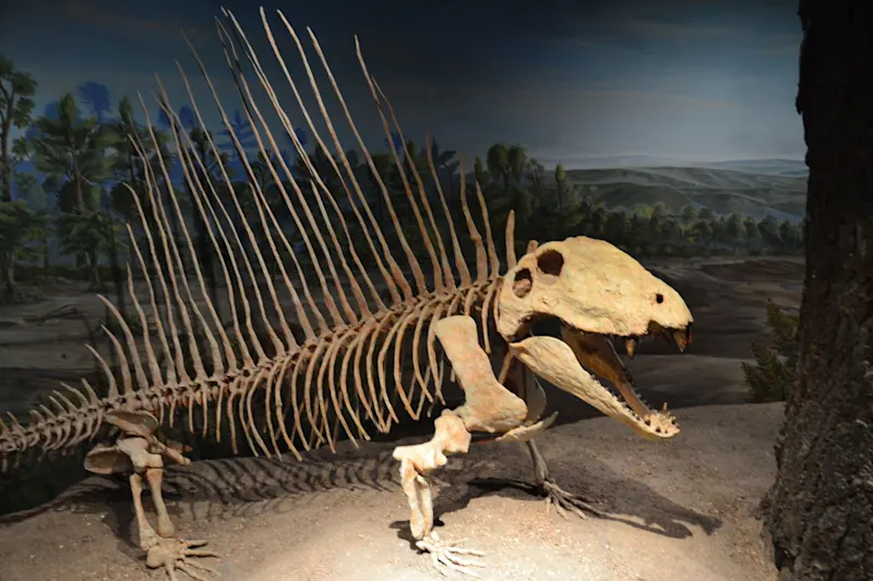 Photo from Drumheller, Canada