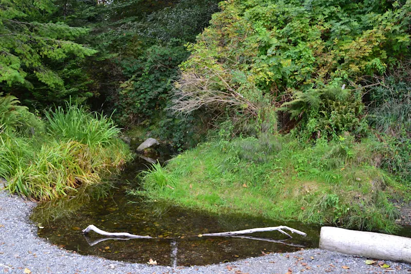 Photo from Bowen Island, Canada