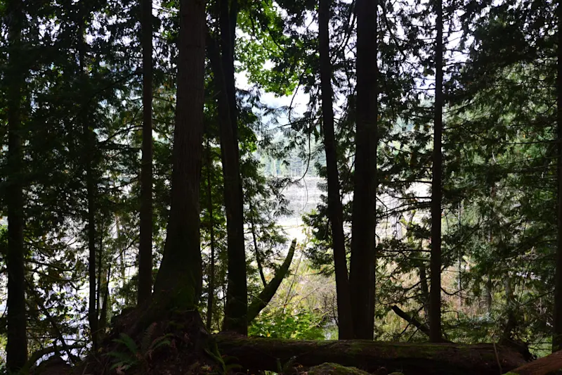 Photo from Bowen Island, Canada