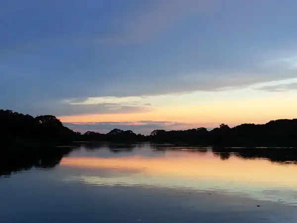 Preview of Pantanal