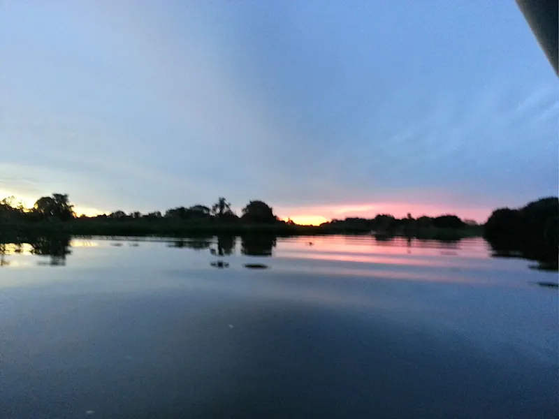 Photo from Pantanal, Brazil