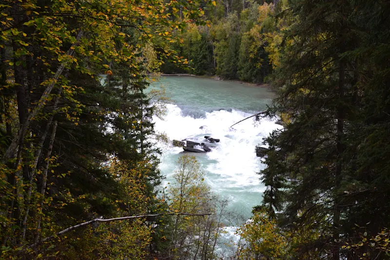 Photo from Yellowhead, Canada