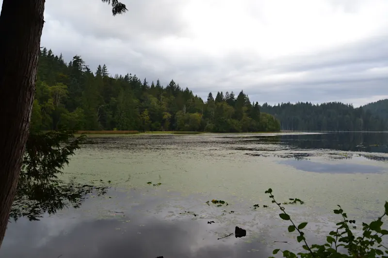 Photo from Bowen Island, Canada