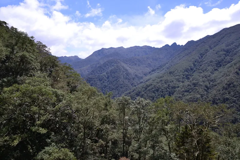 Photo from Quindio, Colombia
