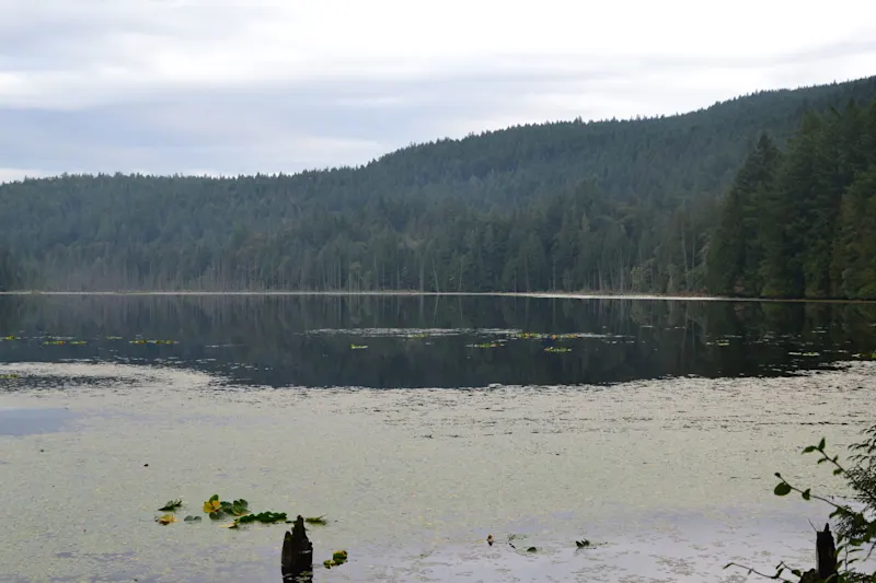 Photo from Bowen Island, Canada