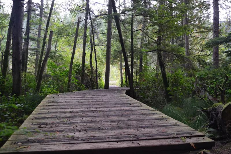 Photo from Bowen Island, Canada
