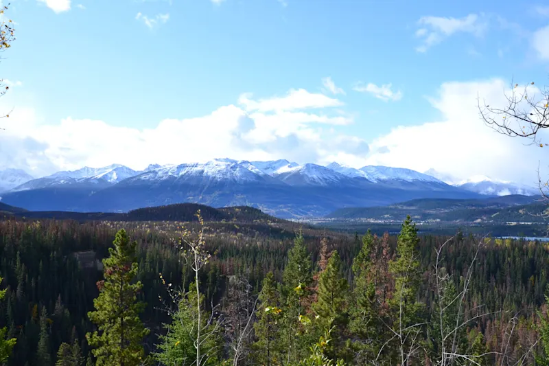 Photo from Jasper, Canada
