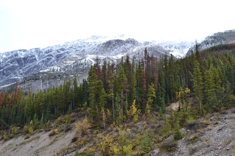 Photo from Jasper, Canada